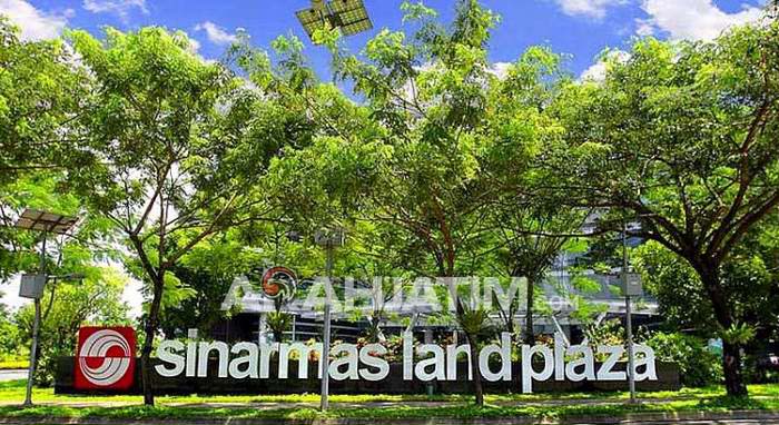 https://live.staticflickr.com/65535/47053636294_aabb7602a6_b.jpg