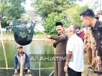 arah-pmk-wabup panen kerapu